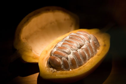 Cacao Beans